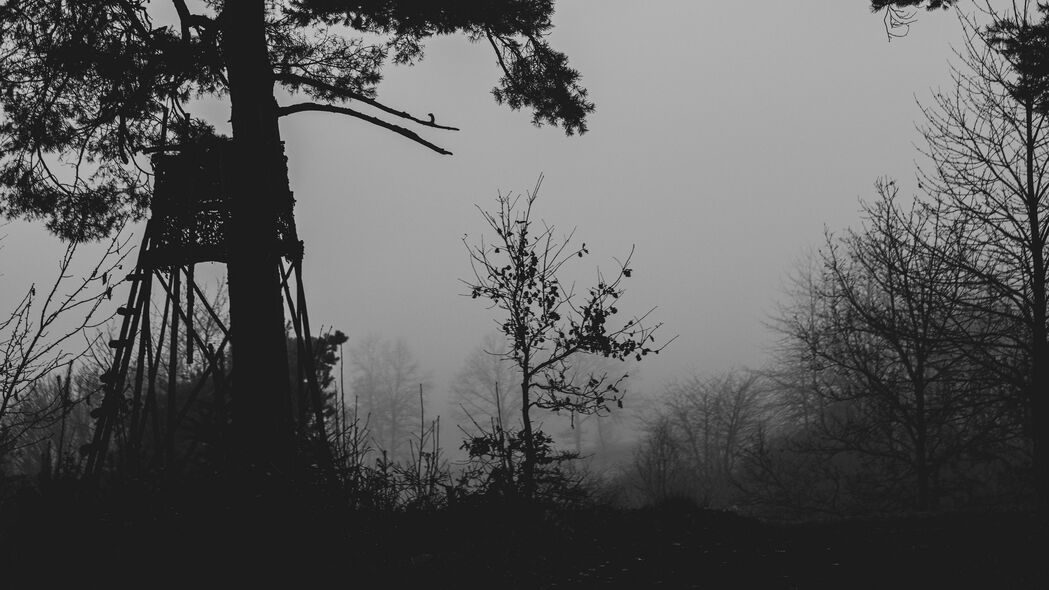 树木 剪影 雾 雾 黑白 深色 4k壁纸 3840x2160