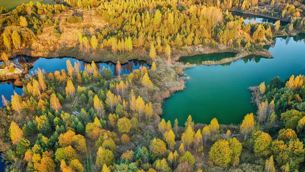 森林 湖泊 鸟瞰图 风景 秋季 4k壁纸 3840x2160