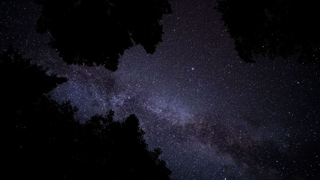 银河 星星 星空 树木 夜晚 深色 4k壁纸 3840x2160