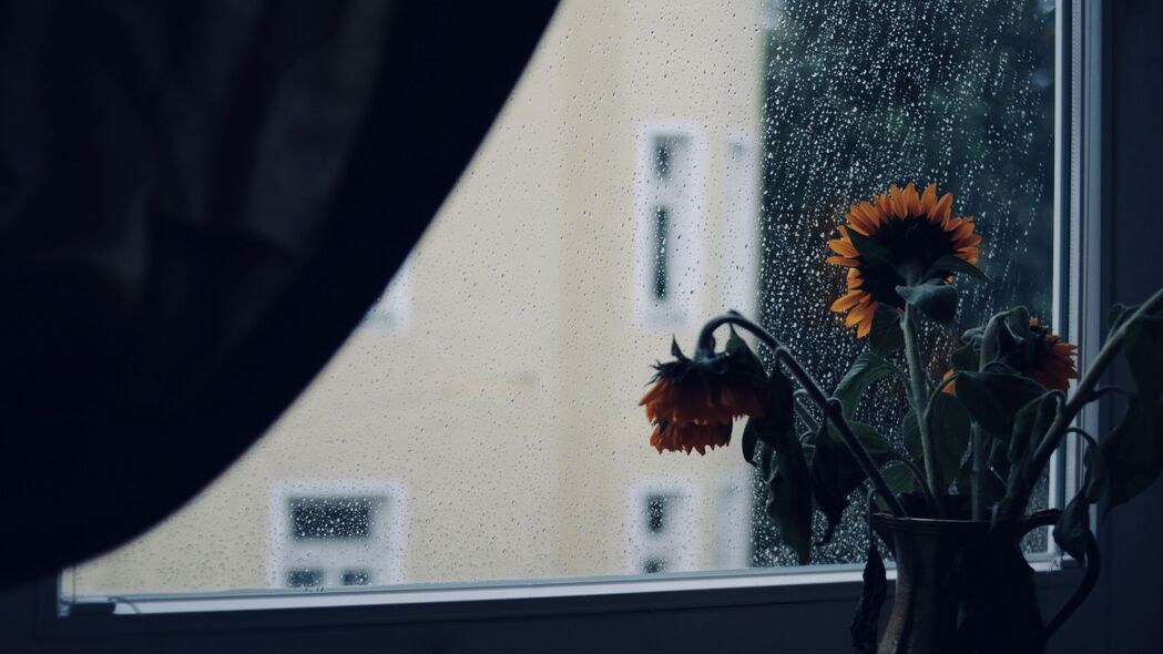 向日葵 花 花瓶 窗户 雨 4k壁纸 3840x2160