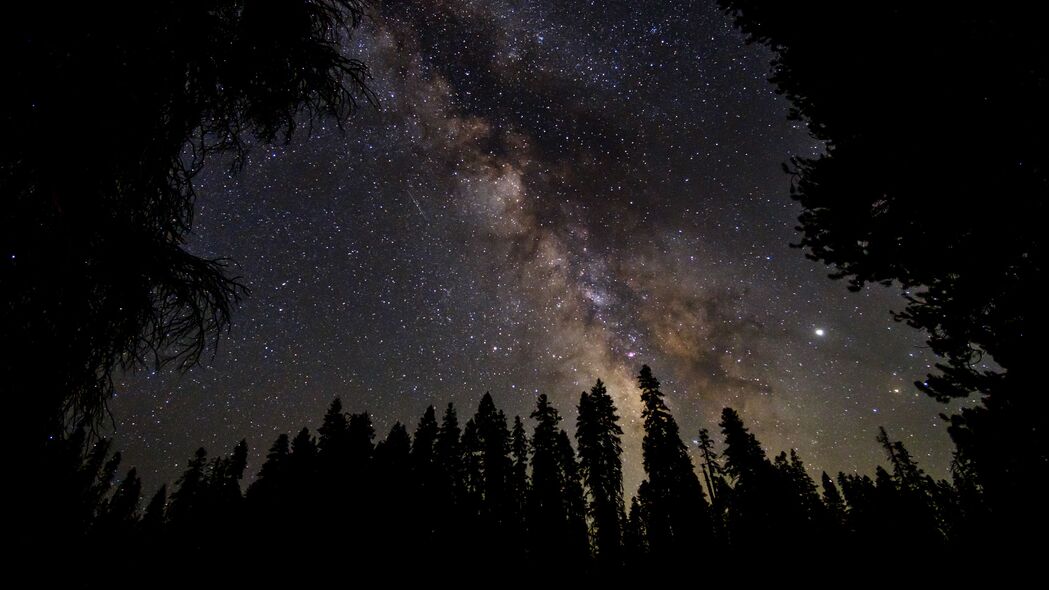 银河 星空 星星 森林 夜晚 深色 4k壁纸 3840x2160
