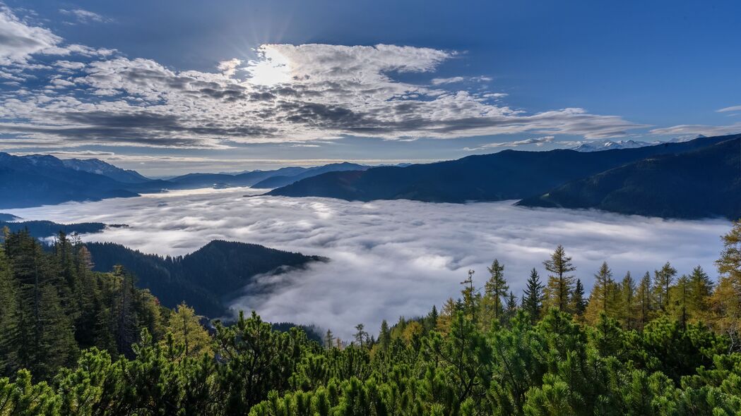 森林 山脉 云 景观 鸟瞰 4k壁纸 3840x2160