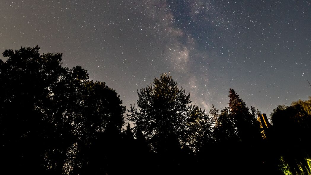 银河 星星 树 夜晚 天空 深色 4k壁纸 3840x2160