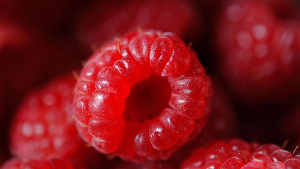 树莓 浆果 成熟 红色 宏观 4k壁纸 3840x2160