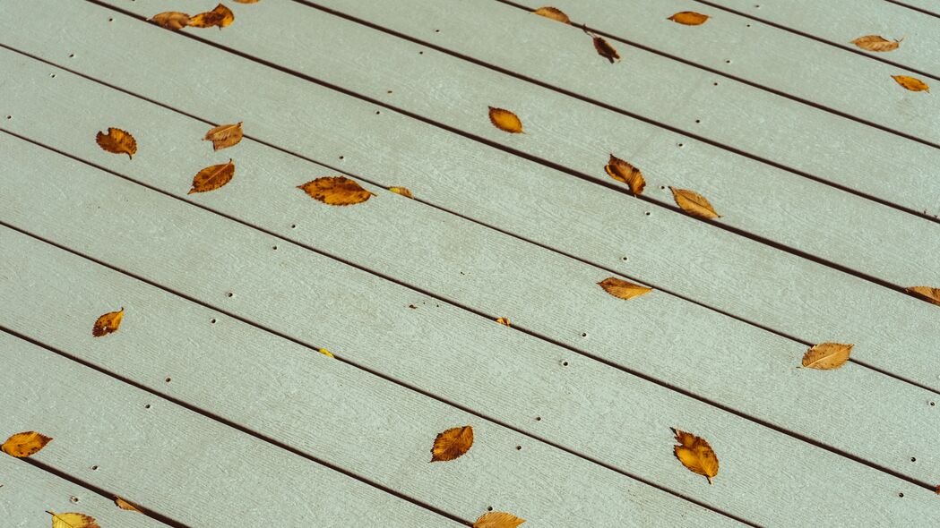 树叶 木板 木材 秋季 4k壁纸 3840x2160