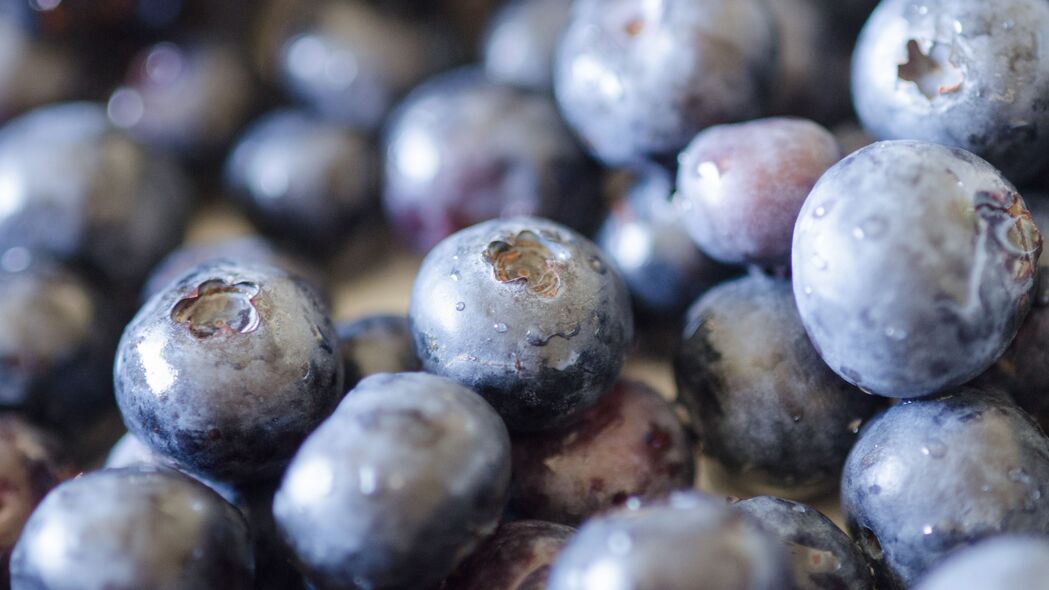 蓝莓 浆果 水果 滴剂 宏观 4k壁纸 3840x2160