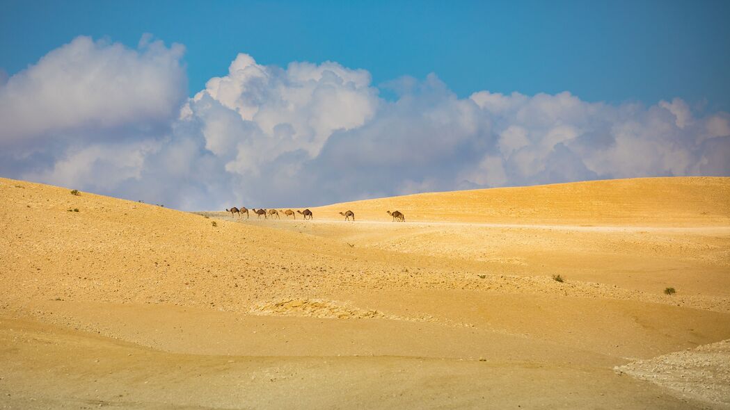 骆驼漫步沙漠，沙子如云，绝美风景4K壁纸，3840x2160高清下载