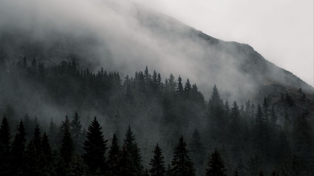 山 森林 雾 自然 风景 4k壁纸 3840x2160