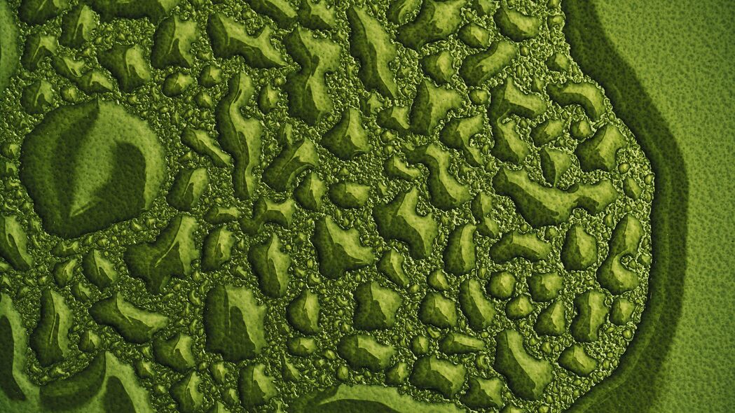 滴 水 宏 表面 绿色 4k壁纸 3840x2160