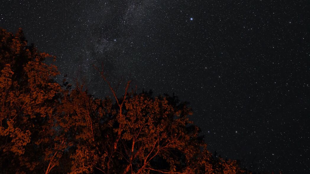 星星 天空 夜晚 树木 背光 深色 4k壁纸 3840x2160
