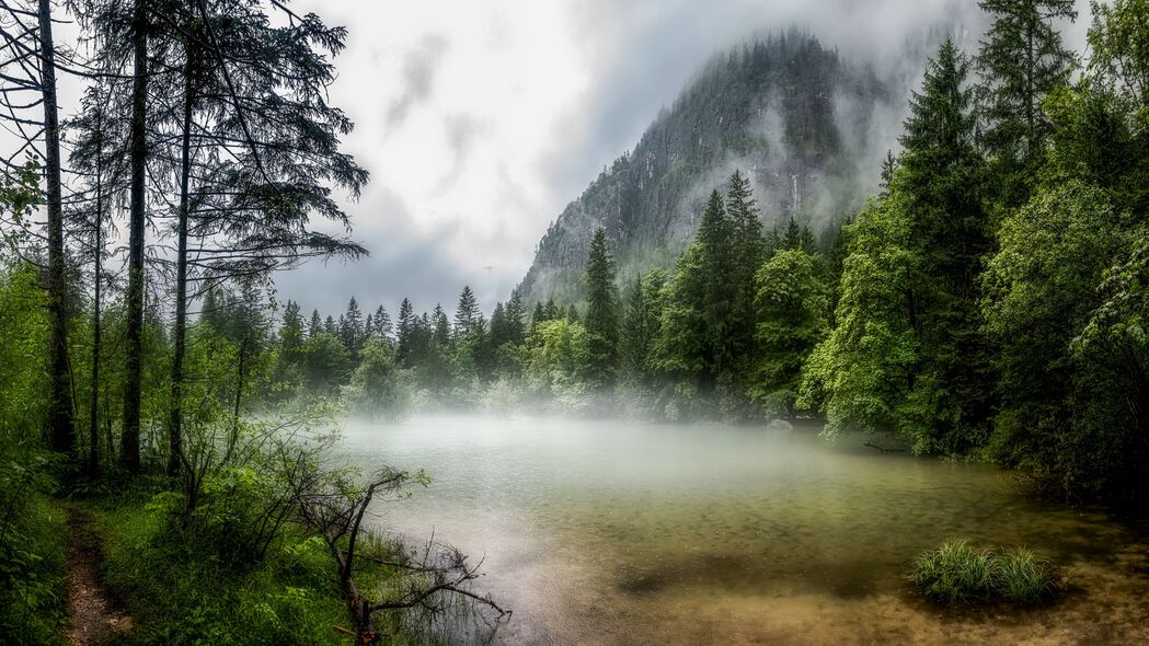 湖泊 森林 雾 早晨 风景 4k壁纸 3840x2160
