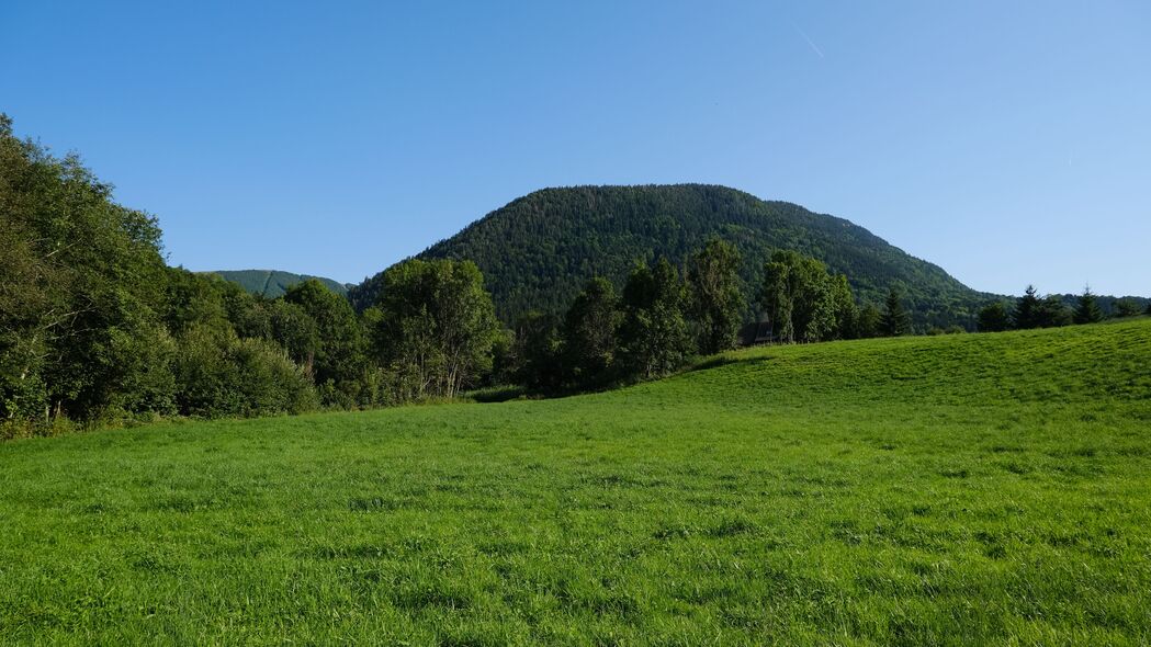 田野树影山丘，自然美景尽收眼底——高清4K风景壁纸，3840x2160超清分辨率下载