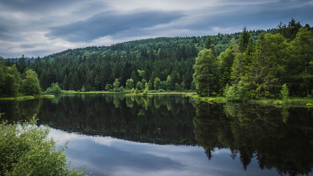 森林 树木 湖泊 反射 自然 4k壁纸 3840x2160