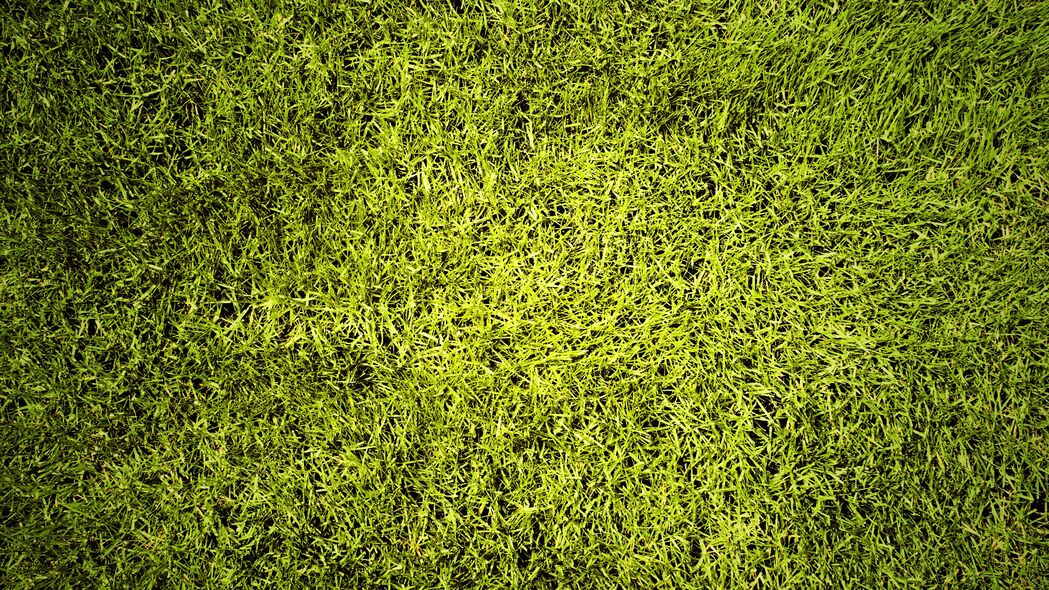 草坪 草 绿色 纹理 绿色 4k壁纸 3840x2160