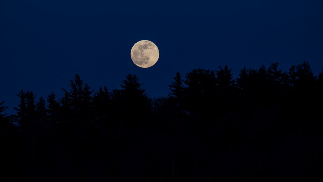 月亮 满月 树木 剪影 夜晚 深色 4k壁纸 3840x2160