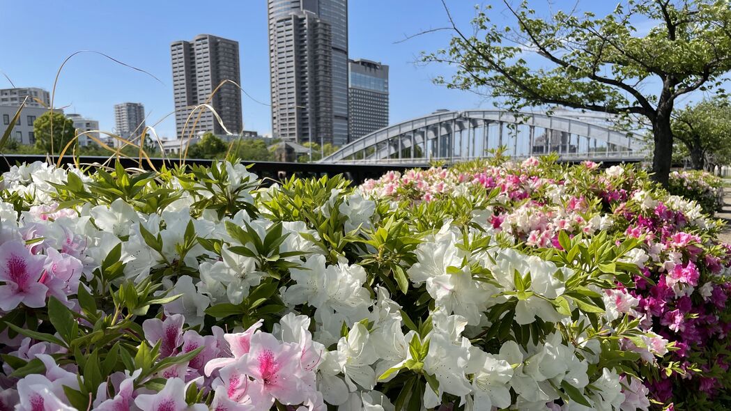 城市建筑花坛美景，4K超高清壁纸下载，3840x2160分辨率惊艳你的屏幕！