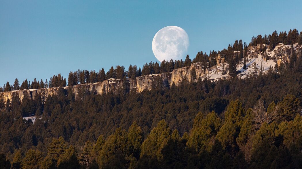 岩石 森林 月亮 满月 风景 自然 4k壁纸 3840x2160
