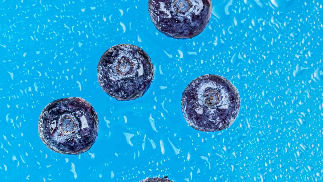 蓝莓 浆果 滴 湿 宏观 蓝色 4k壁纸 3840x2160