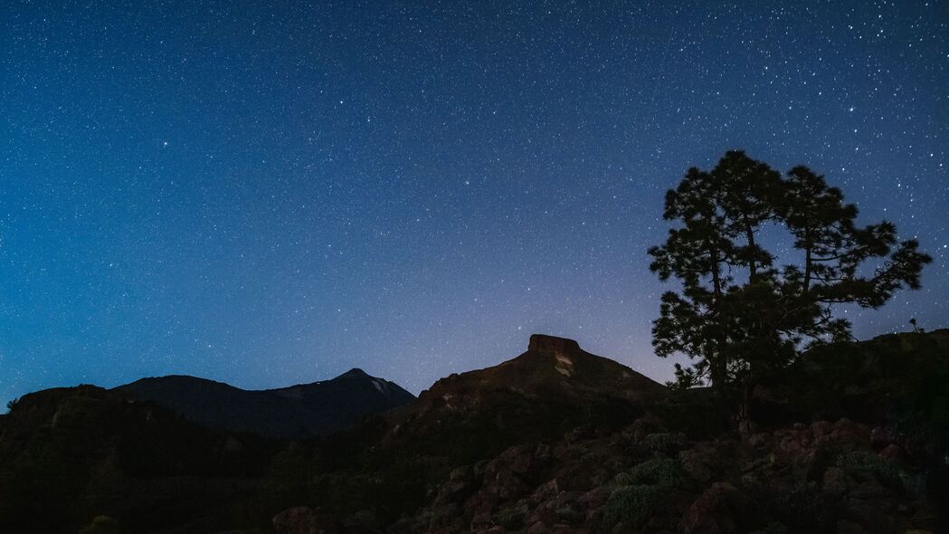 夜晚星空深色调，岩石与树的神秘交织，4K高清壁纸（3840x2160）免费下载