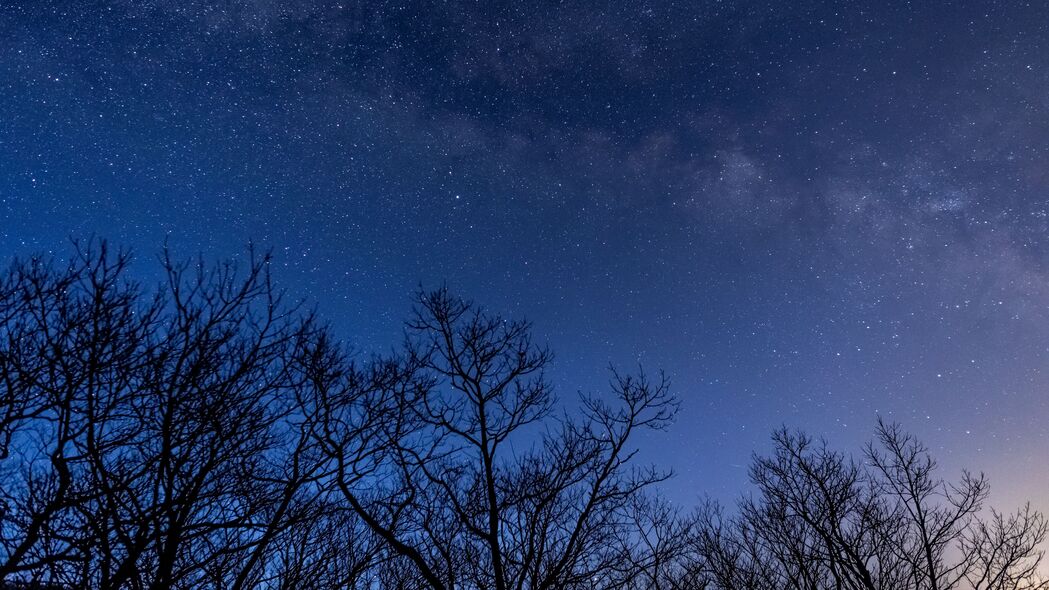 星星 银河 树木 树枝 夜晚 深色 4k壁纸 3840x2160