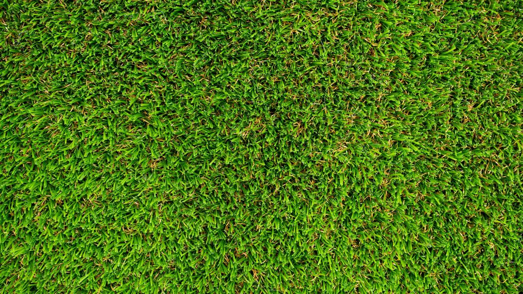 草 草坪 纹理 绿色 4k壁纸 3840x2160