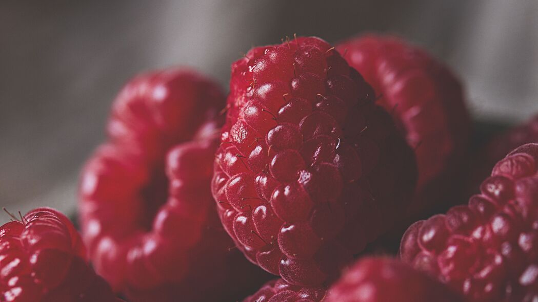 树莓 浆果 宏观 成熟 新鲜 4k壁纸 3840x2160