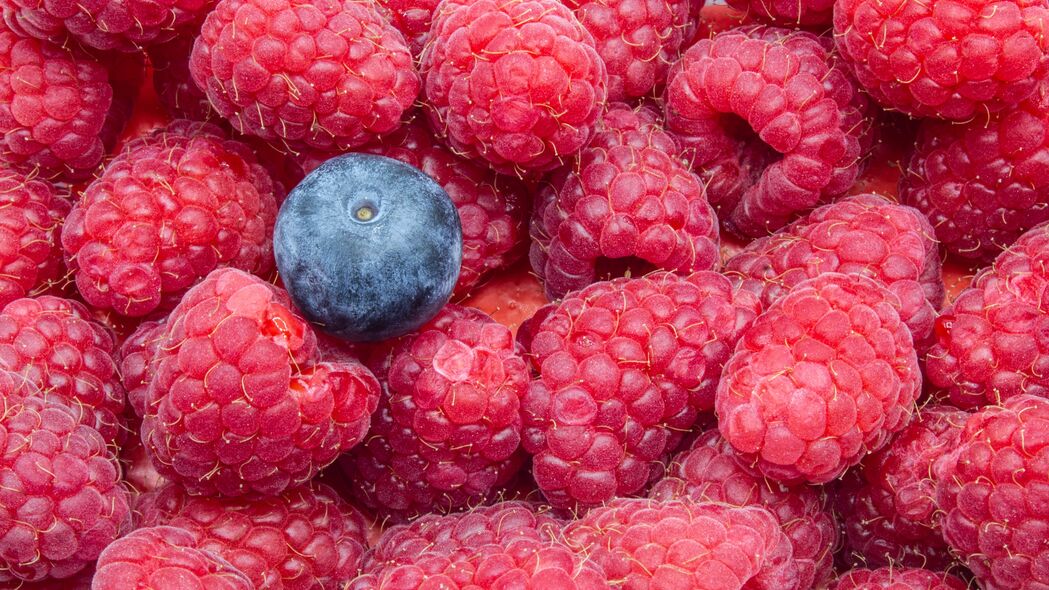 树莓 蓝莓 浆果 成熟 宏观 4k壁纸 3840x2160