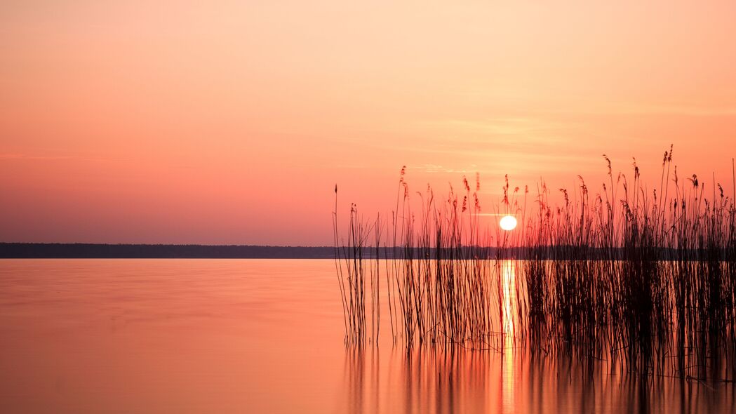 太阳 日落 芦苇 湖泊 地平线 4k壁纸 3840x2160