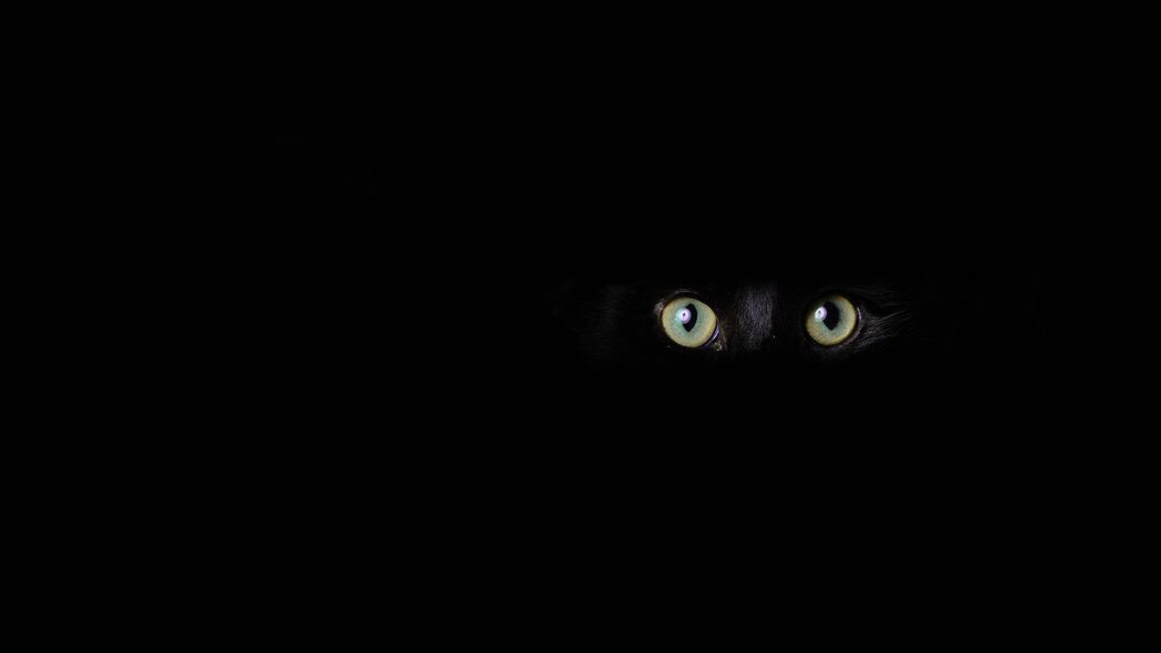 猫 眼睛 一瞥 黑色 深色 4k壁纸 3840x2160