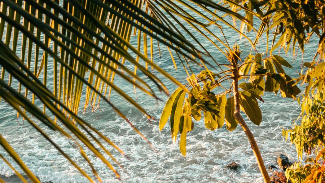 大海 海滩 棕榈树 热带 夏季 4k壁纸 3840x2160