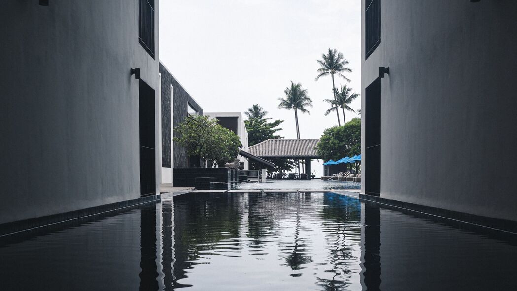 水池 水 建筑物 棕榈树 热带 4k壁纸 3840x2160