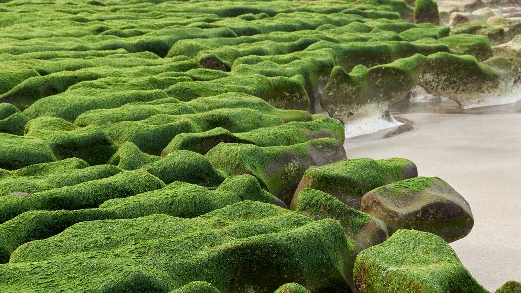 石头 苔藓 海滩 水 海洋 4k壁纸 3840x2160
