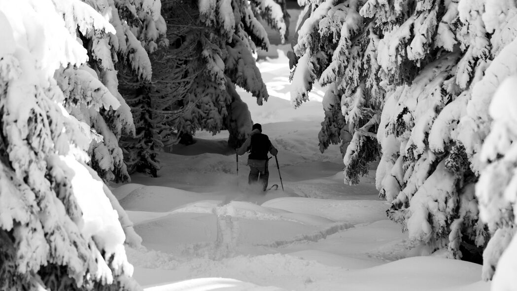 人 滑雪 雪 冬天 森林 自然 4k壁纸 3840x2160