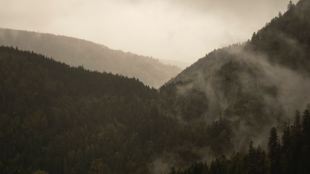 山脉 树木 雾 自然 4k壁纸 3840x2160