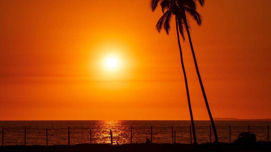 太阳 日落 大海 棕榈树 风景 4k壁纸 3840x2160