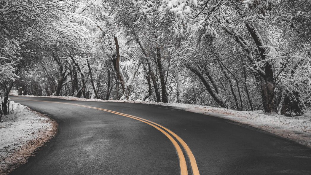 道路 转弯 沥青 标记 树木 雪 冬季 4k壁纸 3840x2160