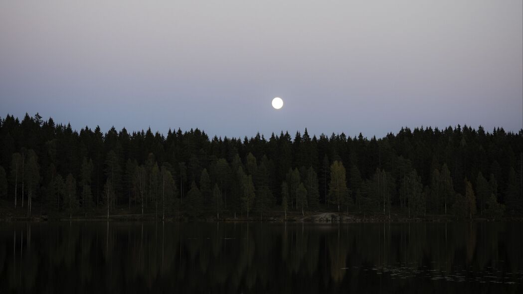 湖 森林 月亮 反射 水 风景 4k壁纸 3840x2160