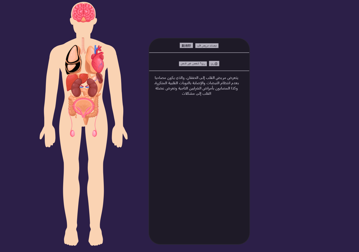 3d医学动画制作，人体内脏器官分布简图