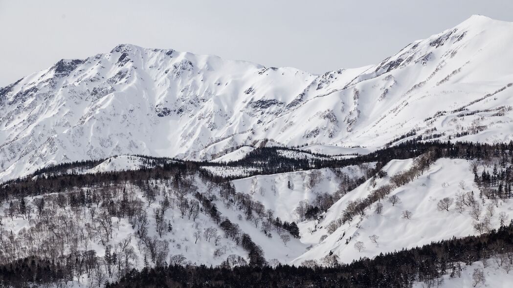 山 坡 雪 树 冬天 风景 4k壁纸 3840x2160