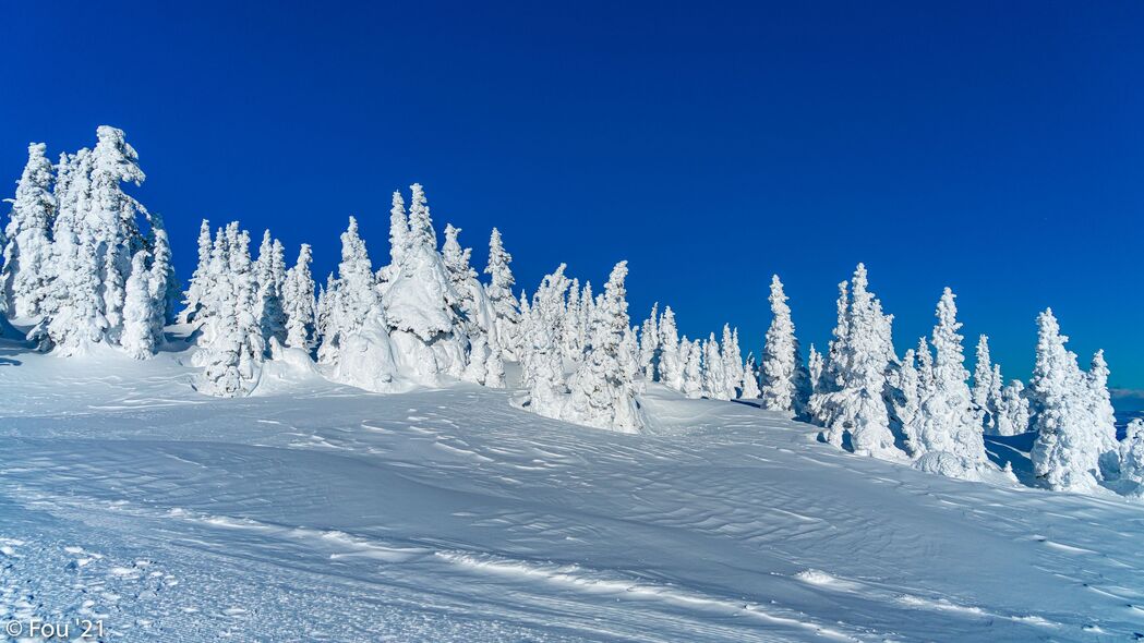雪 冬天 树木 风景 4k壁纸 3840x2160