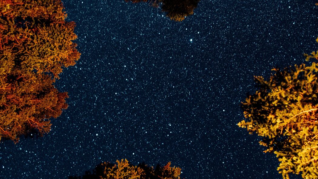 棵树 星空 夜晚 空间 深色 4k壁纸 3840x2160