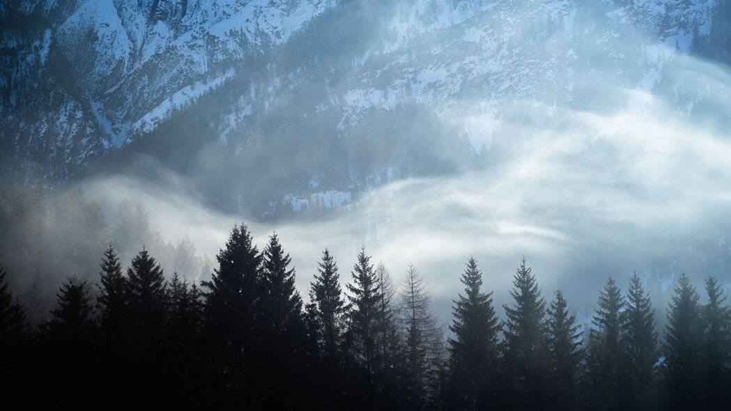 树木 雪 雾 山脉 风景 4k壁纸 3840x2160