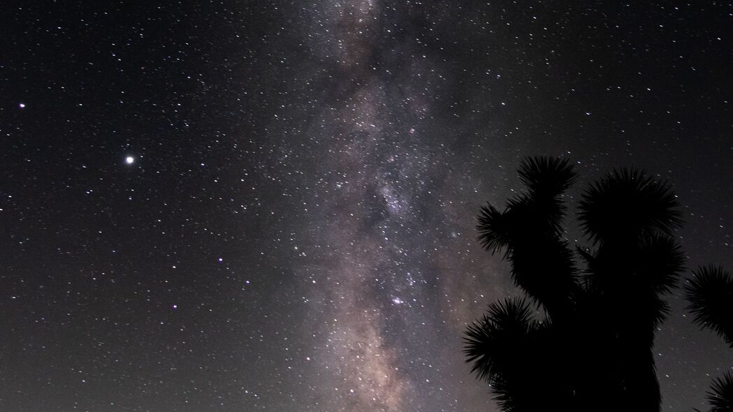 星空 树木 剪影 夜晚 星星 深色 4k壁纸 3840x2160