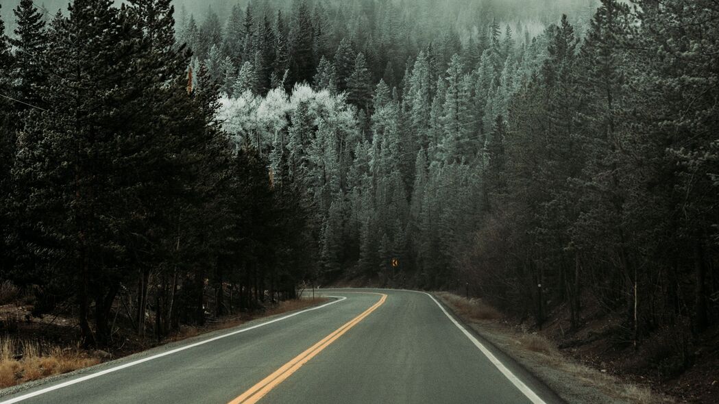 道路 沥青 转弯 森林 树木 雪 冬季 4k壁纸 3840x2160