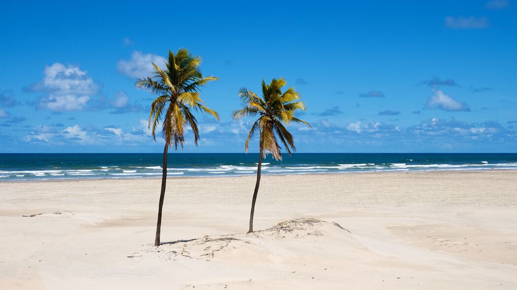 海滩 棕榈树 沙子 大海 夏季 4k壁纸 3840x2160