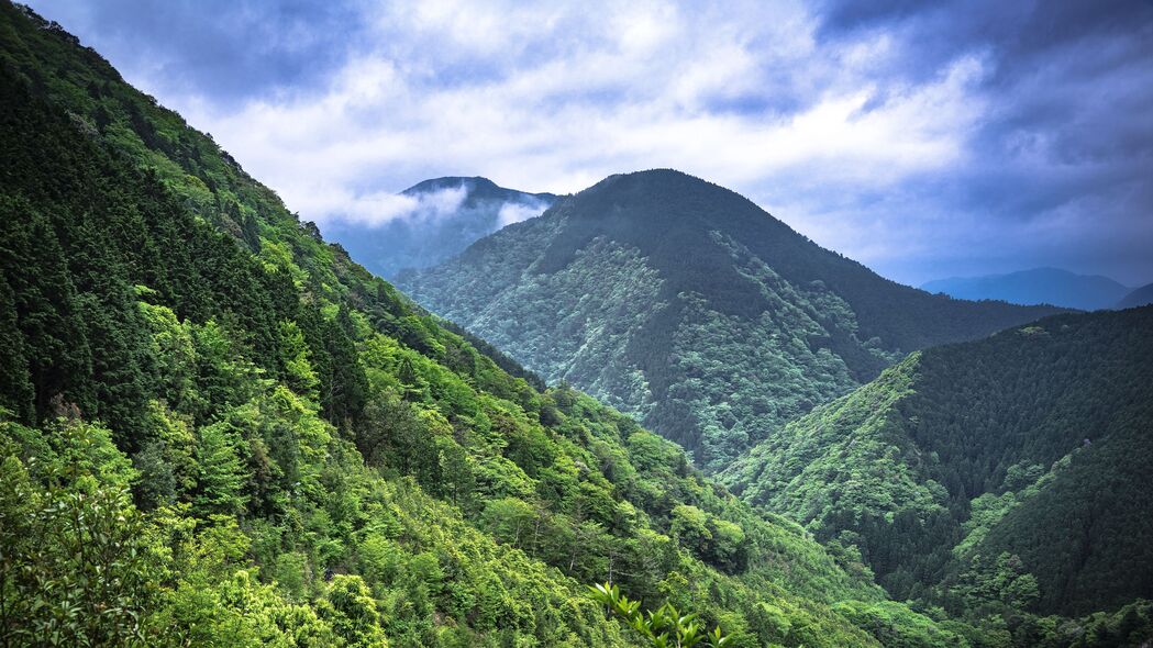 山脉 树木 森林 云 自然 风景 4k壁纸 3840x2160