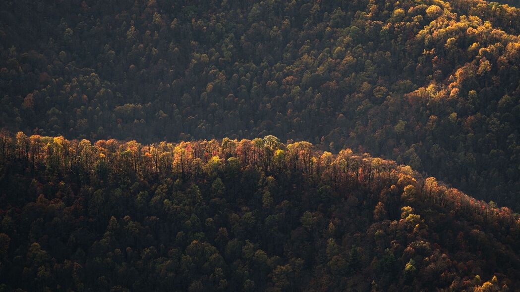 森林 丘陵 鸟瞰图 自然 4k壁纸 3840x2160