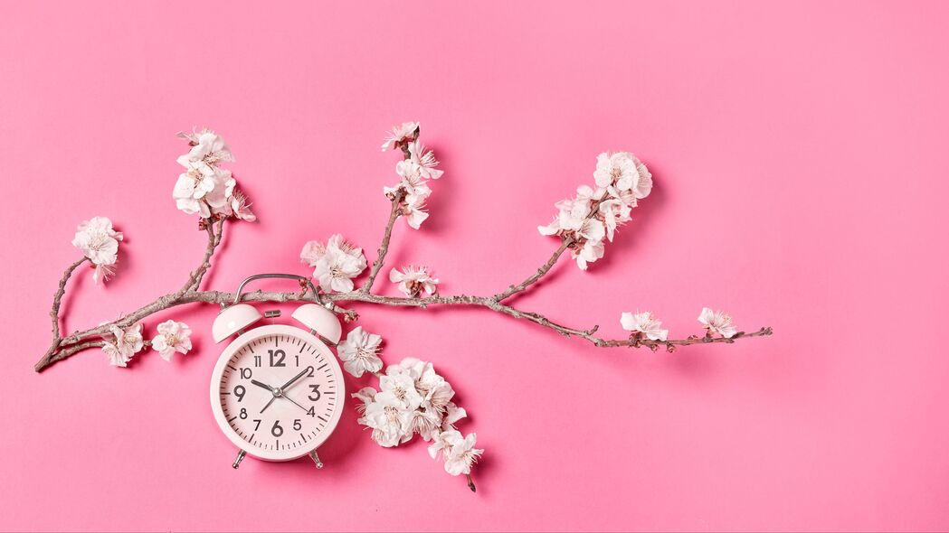 樱花 花朵 时钟 闹钟 极简主义 粉红色 4k壁纸 3840x2160