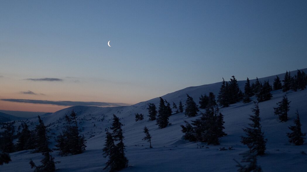 月亮 树木 山丘 夜晚 雪 冬季 4k壁纸 3840x2160