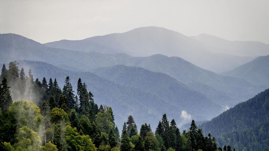 山脉 森林 树木 雾 自然 风景 4k壁纸 3840x2160